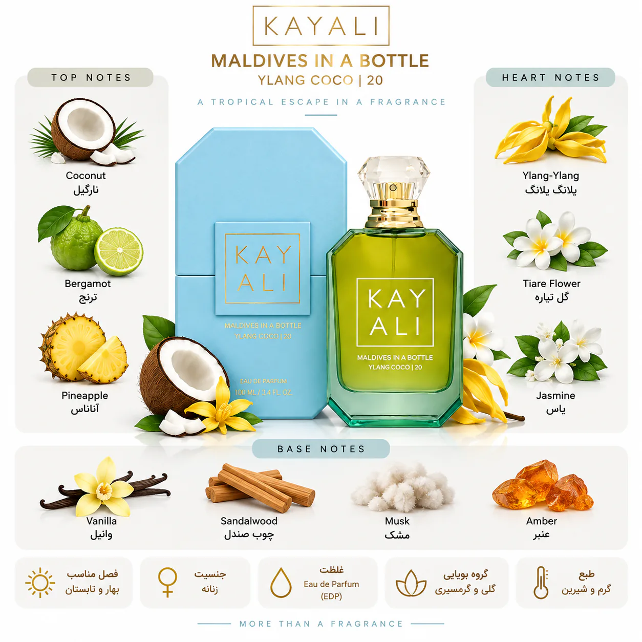 عطر کایلی مدل مالدیوس این باتل 100 میلی لیتر