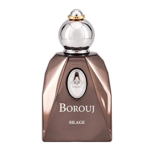 عطر دمونت پاریس مدل بروج سیلاج حجم 85 میلی لیتر