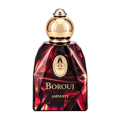 عطر دمونت پاریس مدل بروج آمنستی 100 میلی لیتر